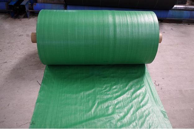 الغطاء النباتي PP الأرض