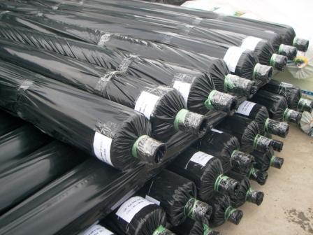 فيلم المهاد الأسود