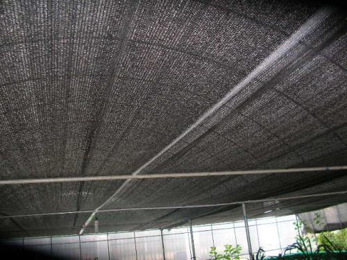 شبكة التظليل